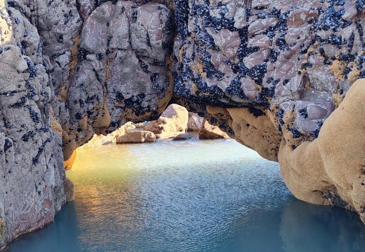 Rockpool - Буде Экстерьер фото